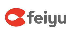 FEIYU